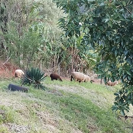 הוילה גראמדו Bangalo Dos Aracas - Sitio Vo Haack מראה חיצוני תמונה